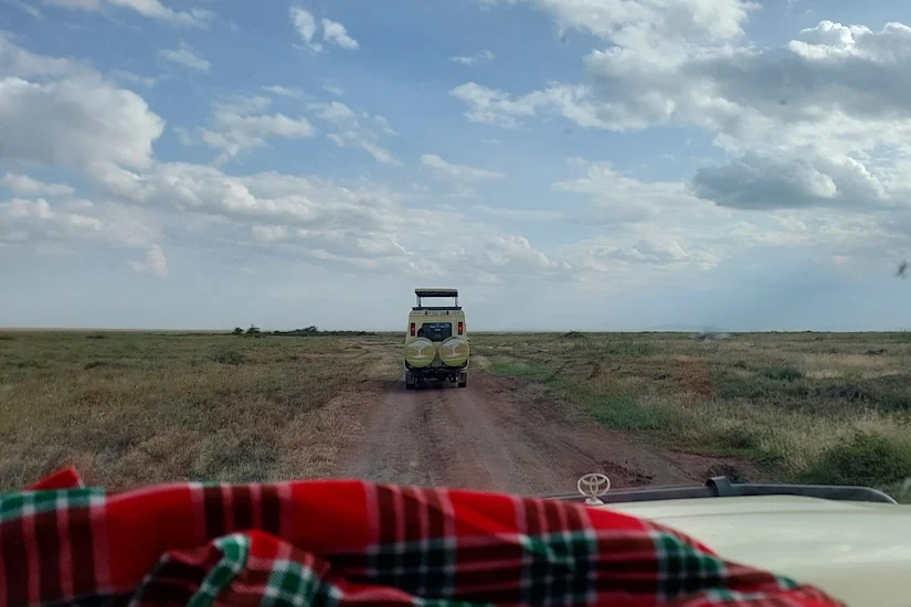View from a safari vehicle looking at a branded Pure Afro Travels vehicle in the Serengeti, linking to our helpful trip planning FAQs.